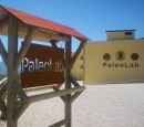 Paleolab